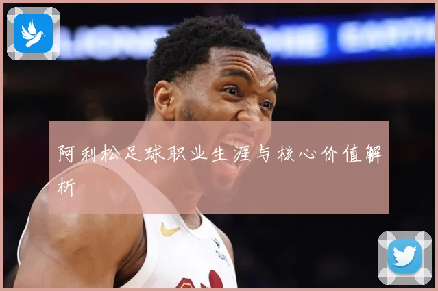 阿利松足球职业生涯与核心价值解析