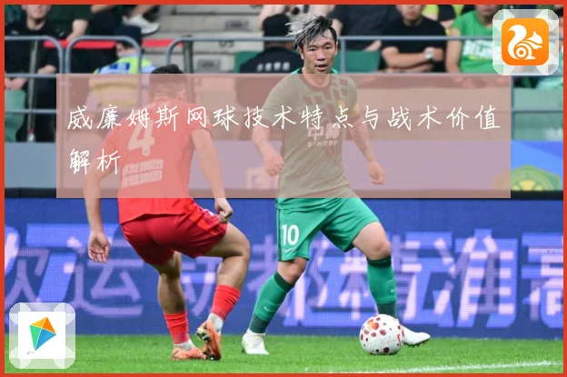 威廉姆斯网球技术特点与战术价值解析